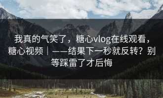 我真的气笑了，糖心vlog在线观看，糖心视频｜——结果下一秒就反转？别等踩雷了才后悔