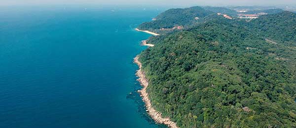 群里突然炸了：17c一起草？官方还没回应，但迹象很明显