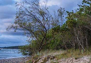 别再误会每日大赛今日了：越看越上头太好哭其实指向情绪，这次不一样